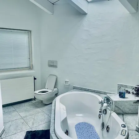 Apartment Penthouse Overlooking The Neckar Heidelberg