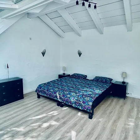 Penthouse Overlooking The Neckar * Heidelberg