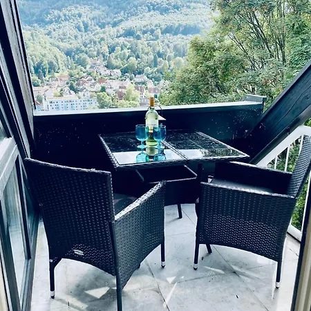 Apartment Penthouse Overlooking The Neckar Heidelberg